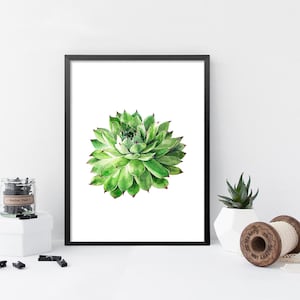 Printable art print - Sempervivum art print, Succulent watercolour painting print, green home decor, cactus, botanical painting,
