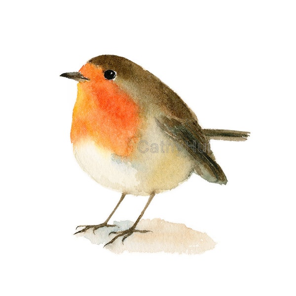 Robin bird Watercolor Painting Art Print,  digital download bird print/ Printable Bird Painting / Digital Print