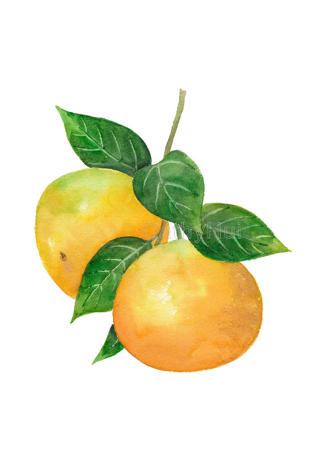 Printable Art Print Grapefruit Watercolour Painting Print, Fruit Art ...