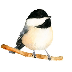 Digitial Print -Tubby Chickadee Watercolor Painting Art Print, black-capped chickadee bird illustration  INTSTAND DOWNLOAD