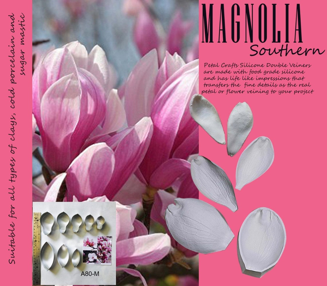 Magnolia Realistic Double Veiner Cutter Flower Leaf Fruit 3D | Etsy