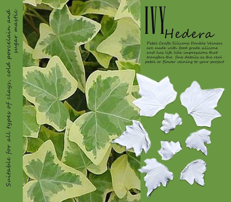 flower fondant,beanspaste,mastic,clay flower Ivy Leaf realistic double veiner cutter flower leaf fruit 3d clear silicone for sugarcraft