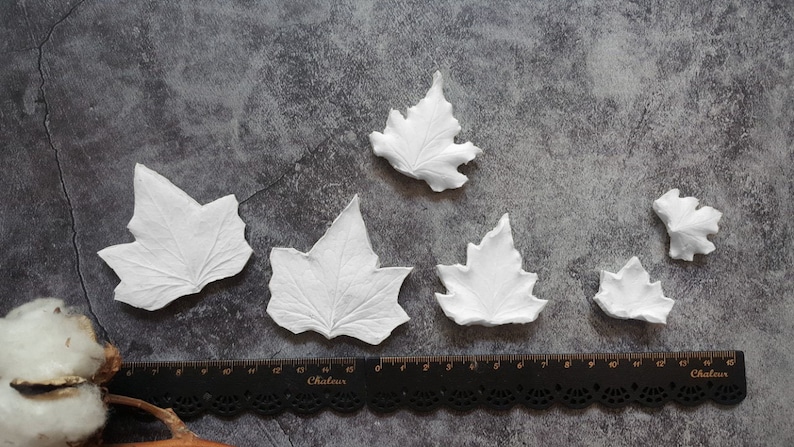 flower fondant,beanspaste,mastic,clay flower Ivy Leaf realistic double veiner cutter flower leaf fruit 3d clear silicone for sugarcraft