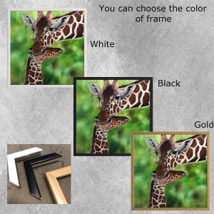 May include: A framed print of a mother giraffe nuzzling her baby giraffe. The frame is available in white, black, or gold. You can choose the color of frame.