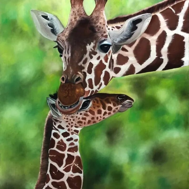 May include: A close-up of a mother giraffe nuzzling her baby giraffe. The mother giraffe has a brown and white spotted pattern, while the baby giraffe has a lighter brown and white spotted pattern. The background is a blurred green.