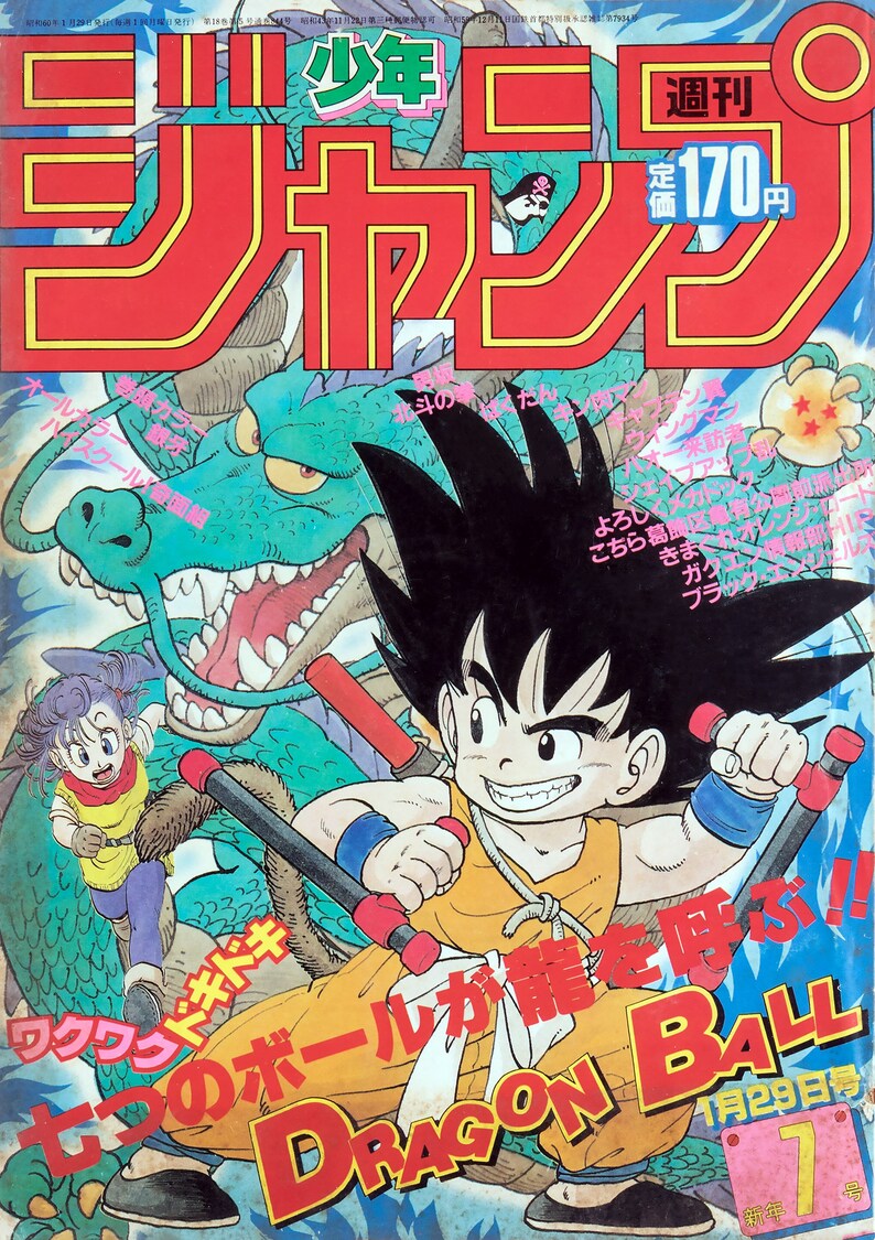 Japanese Dragon Ball Z Poster V2 12x17 Etsy