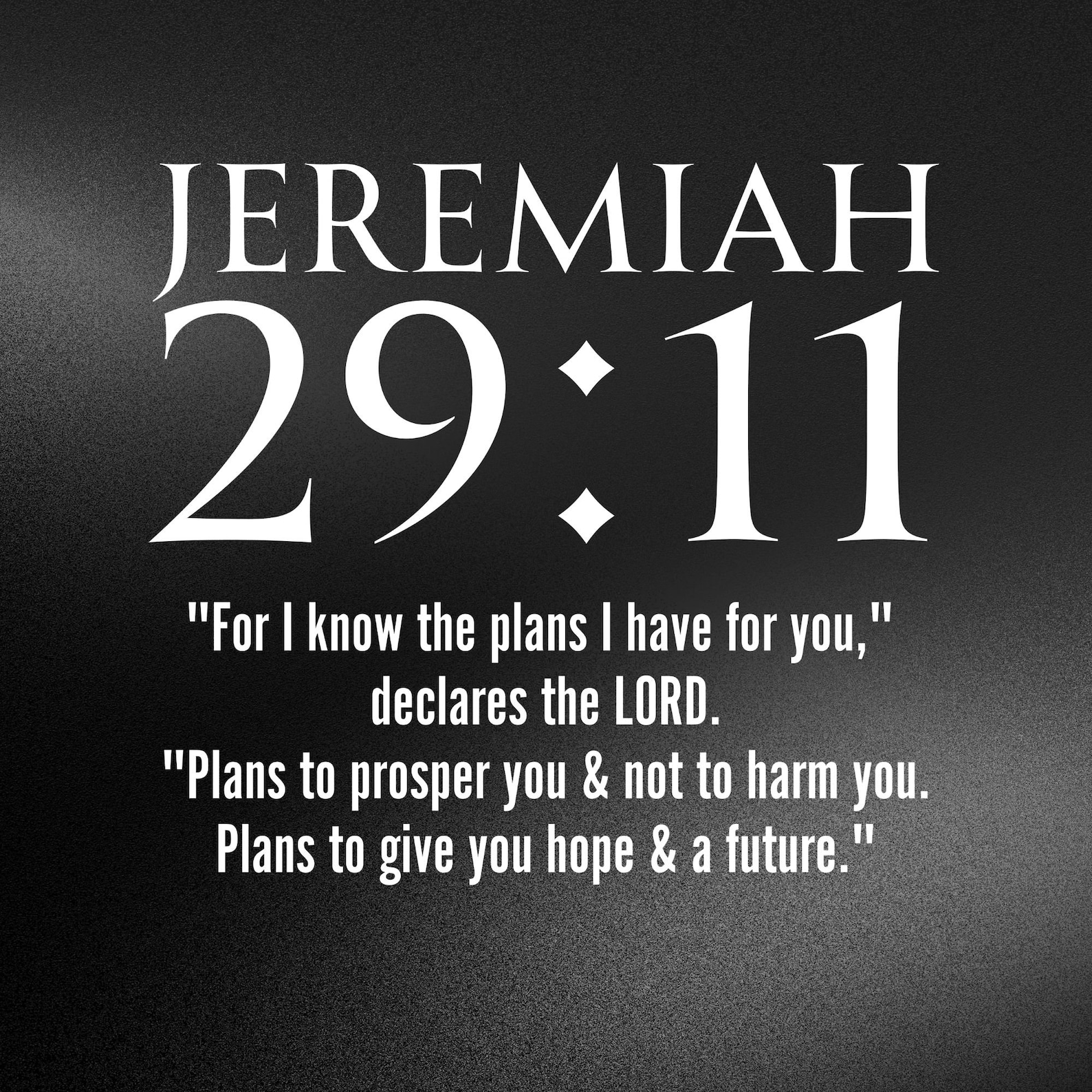 Jeremiah 29:11 for I Know the Plans I Have for You Bible Verse Quote ...