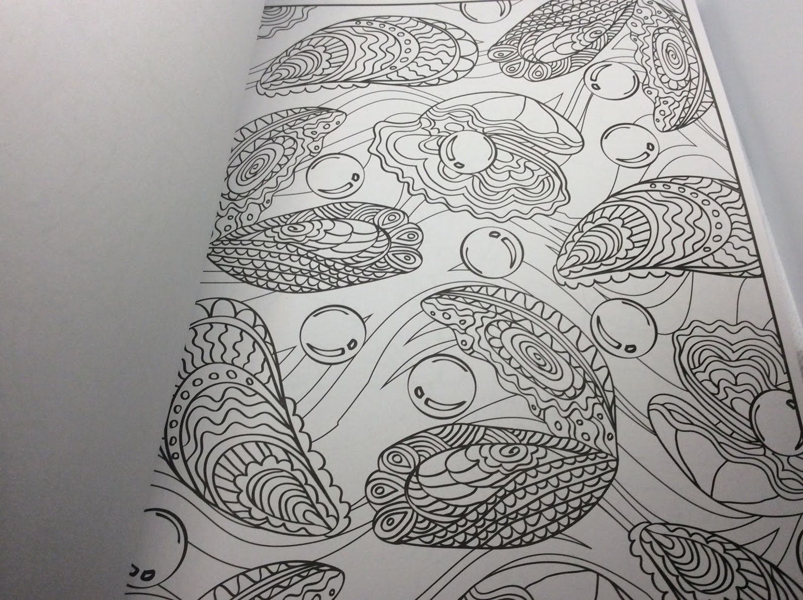 CraZArt Timeless Creation Coloring Book Splash of Color. Etsy France