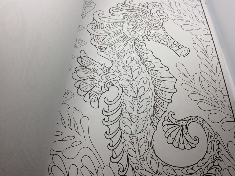 Cra-z-art Timeless Creation Coloring Book Splash of Color. - Etsy