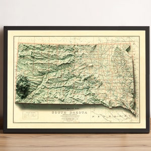 Kaart South Dakota, 2D-reliëfkaart South Dakota, South Dakota vintage poster, South Dakota kunst aan de muur, South Dakota cadeau - 2D FLAT PRINT