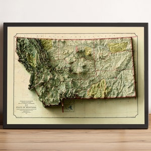 Montana Karte, Montana 2D Reliefkarte, Montana Poster Druck, Montana Vintage Karte, alte Karte von Montana, Geschenk von Montana - 2D FLACHDRUCK