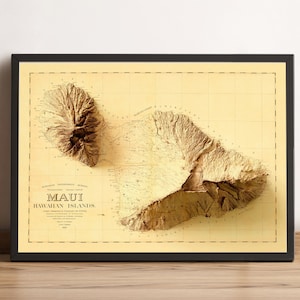 Maui Island Map, Hawaii Karte, Maui 2D Reliefkarte, Maui Vintage Karte, Hawaiianische Inseln Karte, Maui Print, Maui Geschenk - 2D FLACHDRUCK