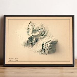 Kaart van Réunion, 2D-reliëfkaart van La Réunion, minimalistische kaart Réunion Frankrijk, reünie kunst aan de muur, poster reünie - 2D FLAT PRINT