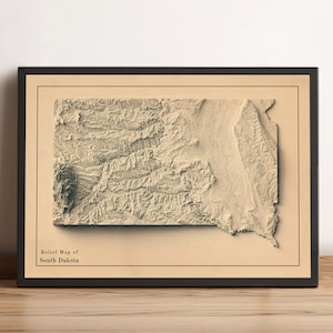 Kaart South Dakota, South Dakota 2D-reliëfkaart, South Dakota minimalistische poster, South Dakota cadeau - 2D FLAT PRINT
