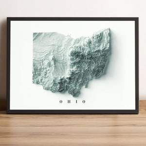 Ohio Map, Ohio 2D Relief Map, Ohio Minimalist Map, Ohio Poster, Ohio Wall Decor, Ohio Gift - 2D FLAT PRINT