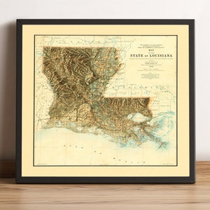 Kaart Louisiana, 2D-reliëfkaart Louisiana, oude kaart Louisiana, vintage posterkaart Louisiana, cadeau Louisiana - 2D FLAT PRINT