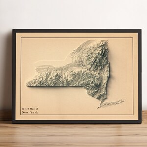 Kaart van New York, 2D-reliëfkaart staat New York, minimalistische kaart New York, poster New York, cadeau New York - 2D FLAT PRINT