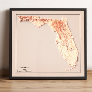 Kaart van Florida, kaart met 2D-reliëf van Florida, vintage kaart van Florida, minimalistische kaart van Florida, posterafdruk van Florida, cadeau van Florida - 2D FLAT PRINT