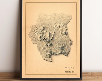 Suriname Map, Suriname 2D Relief Map, Suriname Minimalist Map, Suriname Gift, Paraguay Print - 2D FLAT PRINT