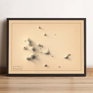 Galapagos-kaart, Galapagos-kaart, Ecuador 2D-reliëfkaart, Galapagos vintage posterkaart, Galapagos muurkunst, Galapagos cadeau - 2D FLAT PRINT