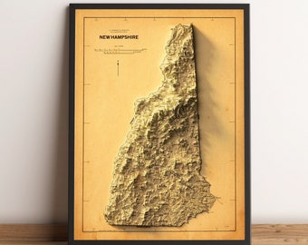 Carte du New Hampshire, carte en relief 2D du New Hampshire, carte ancienne vintage du New Hampshire, cadeau affiche du New Hampshire - impression 2D à plat