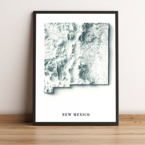 Kaart New Mexico, 2D-reliëfkaart New Mexico, minimalistische kaart New Mexico, poster New Mexico, cadeau New Mexico - 2D FLAT PRINT