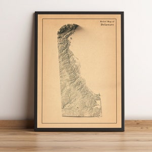 Kaart van Delaware, Delaware 2D-reliëfkaart, Delaware ingelijste kaart, Delaware vintage kaart, Delaware kunst aan de muur, Delaware minimalistische kaart - 2D FLAT PRINT