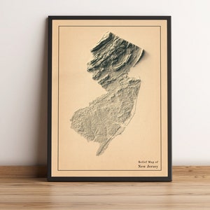 Kaart van New Jersey, 2D-reliëfkaart van New Jersey, print van New Jersey, vakantiecadeau New Jersey, minimalistische kaart New Jersey - 2D PLATTE PRINT