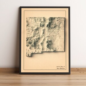 Kaart New Mexico, 2D-reliëfkaart New Mexico, minimalistische kaart New Mexico, poster New Mexico, cadeau New Mexico - 2D FLAT PRINT