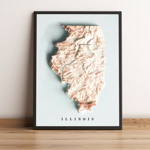 Kaart van Illinois, Illinois 2D-reliëfkaart, Illinois minimalistische kaart, Illinois print, Illinois Wall Art, Illinois kaart cadeau-2D FLAT PRINT