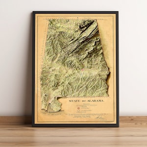Carte de l'Alabama, carte en relief 2D de l'Alabama, carte historique de l'Alabama, carte affiche vintage de l'Alabama, carte cadeau vacances Alabama - impression 2D à plat
