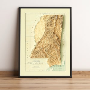 Kaart Mississippi, Mississippi 2D-reliëfkaart, Mississippi vintage poster, Mississippi muurkunst, Mississippi cadeau - 2D FLAT PRINT