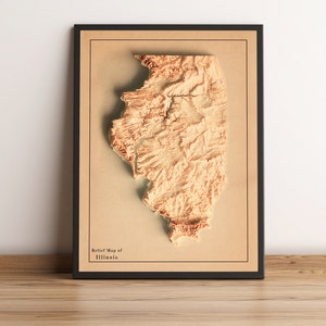 Kaart van Illinois, Illinois 2D-reliëfkaart, Illinois minimalistische kaart, Illinois print, Illinois Wall Art, Illinois kaart cadeau-2D FLAT PRINT