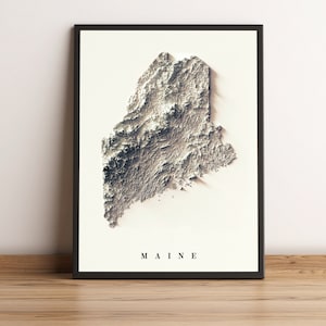 Carte du Maine, carte en relief 2D du Maine, carte vintage du Maine, impression du Maine, carte minimaliste du Maine, art mural du Maine, cadeau du Maine - impression 2D à plat