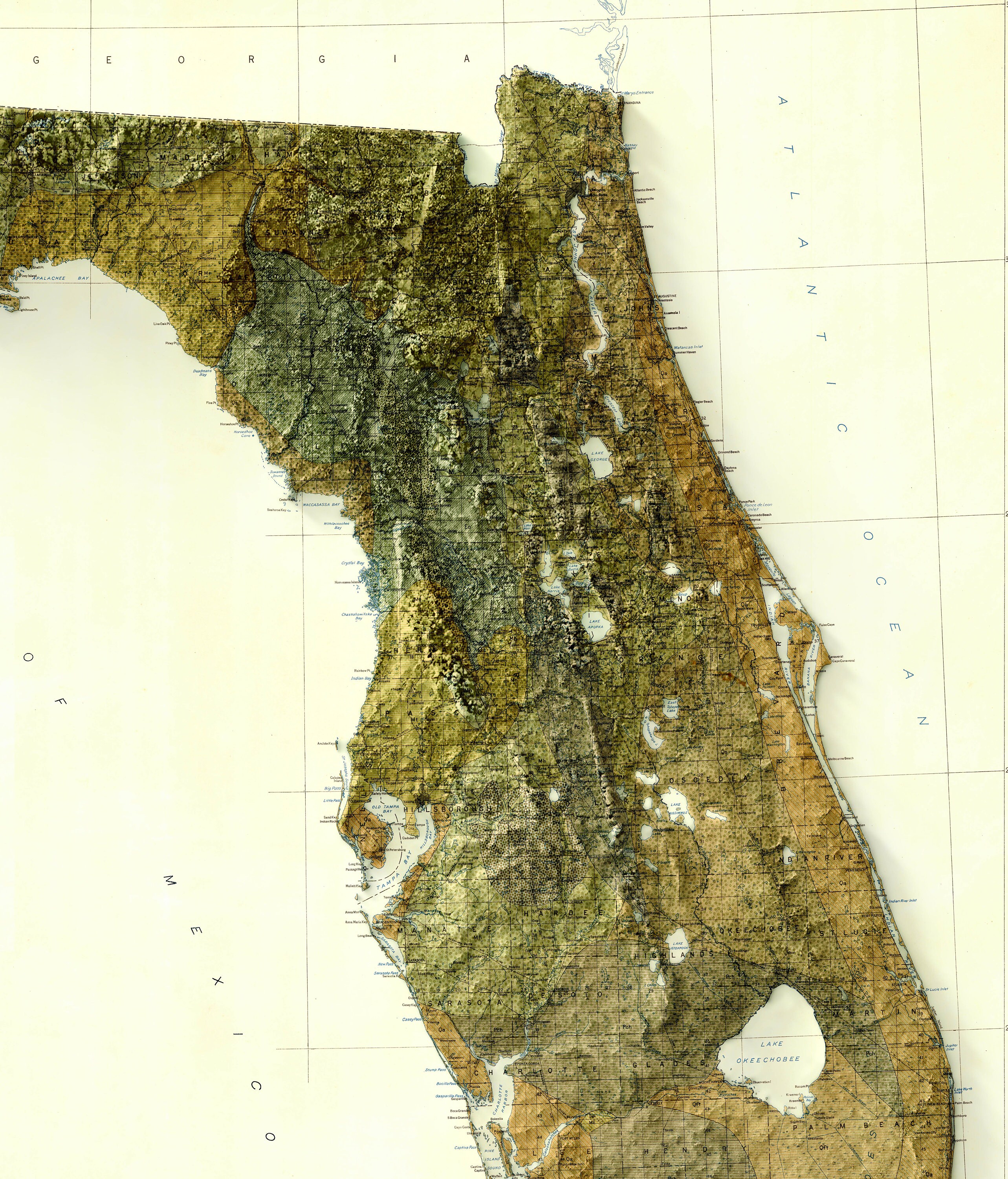 Map of Florida Relief map of Florida - Il Fullxfull.2789158216 4t0l