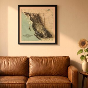British Columbia Canada vintage relief map in a black frame above a brown leather sofa. Boho living room with warm sunlight, sunflower, and indoor plants on a wooden side table