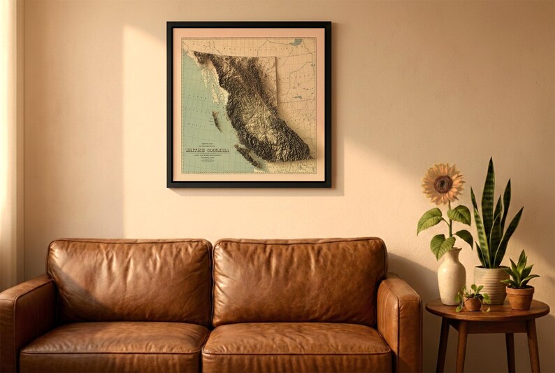 British Columbia Canada vintage relief map in a black frame above a brown leather sofa. Boho living room with warm sunlight, sunflower, and indoor plants on a wooden side table