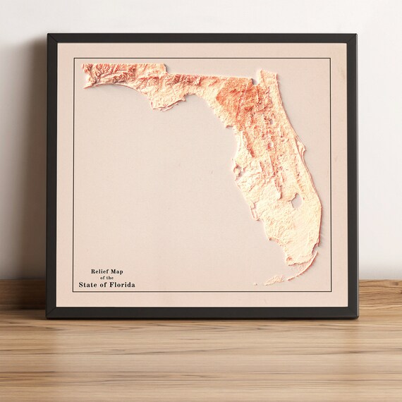 Florida Map Florida 2D Relief Map - Il 570xN.3572105593 Dgnt 
