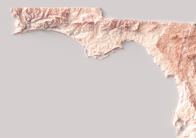 Florida Map Florida 2D Relief Map - Il 794xN.3524472344 E6eh