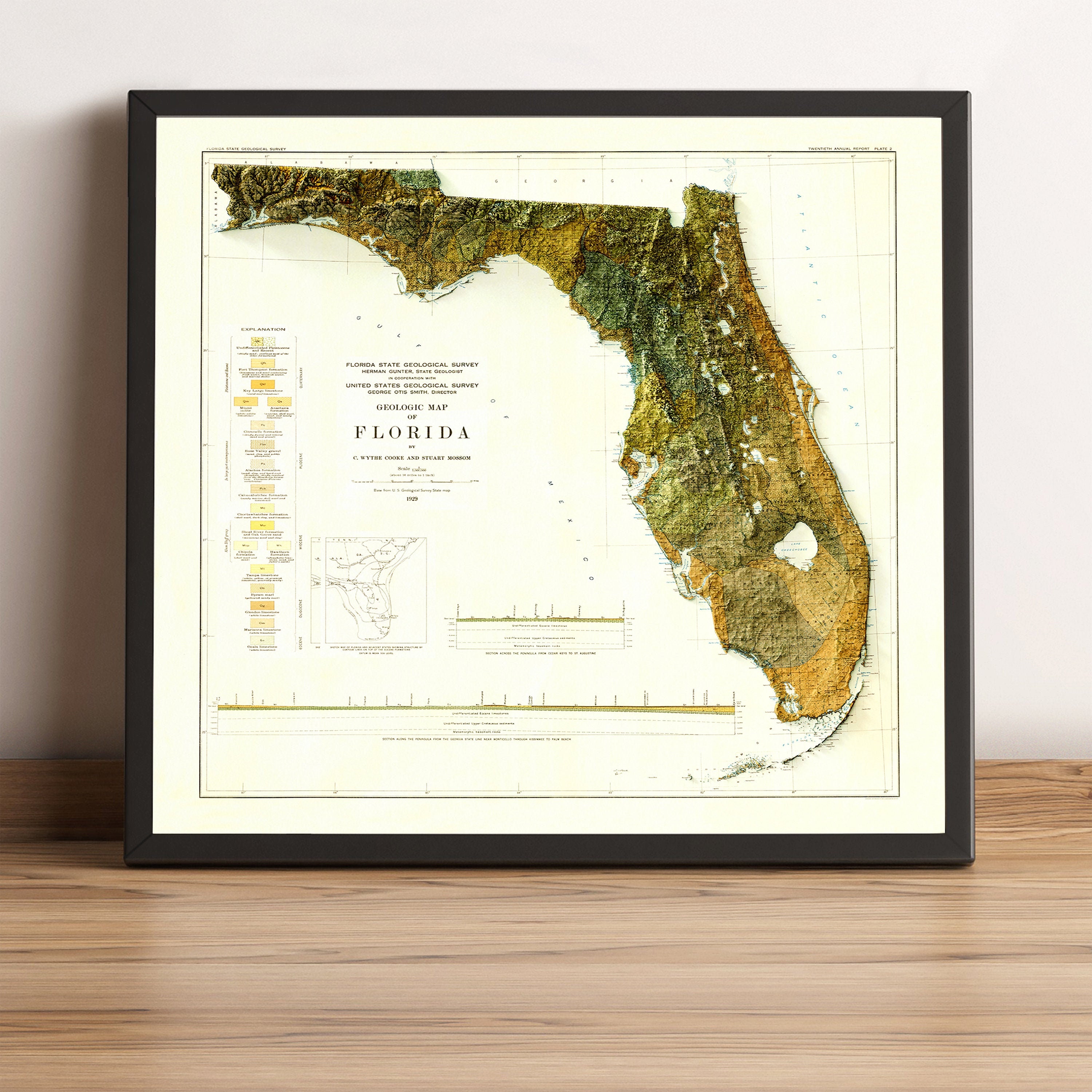 Map of Florida Relief map of Florida - Il Fullxfull.2646615039 Oyq0