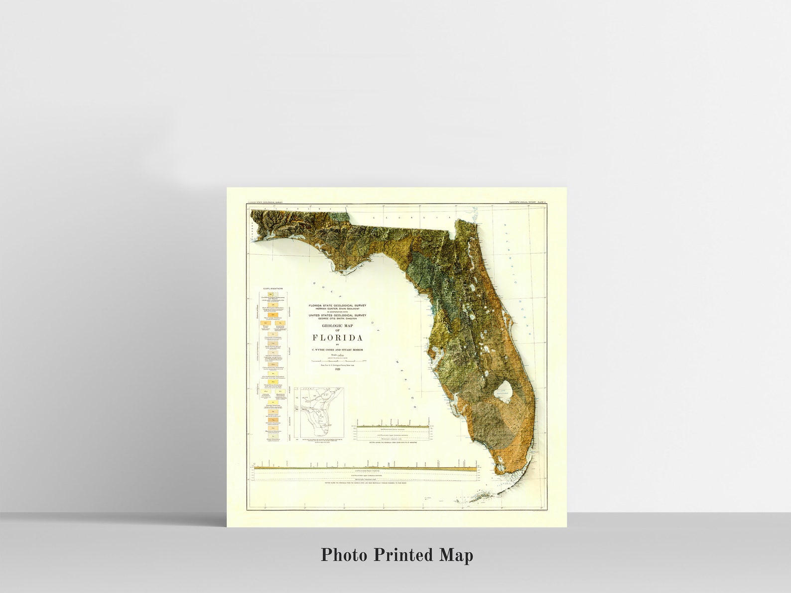 Map of Florida Relief map of Florida - Il 1588xN.2598934498 Cthl