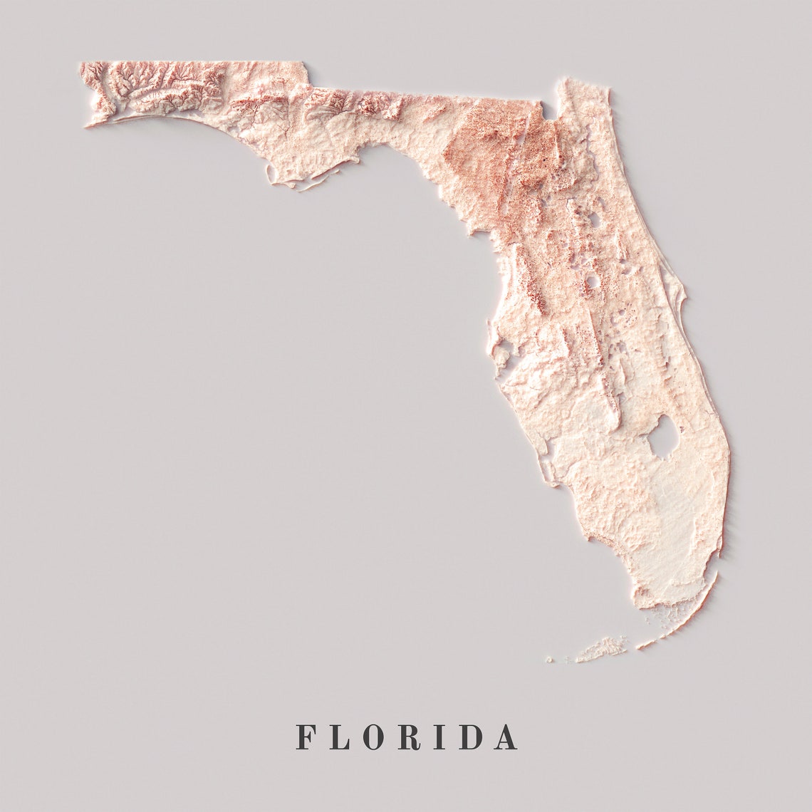 Florida Map Florida 2D Relief Map - Il 1140xN.3524472348 5h0k