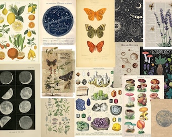 Vintage Botanical Astronomy Art Prints, Aesthetic Room Decor (6x4 or 5x7 Inch)
