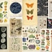 Vintage Nature Botanical & Astronomy Chart Images Aesthetic Prints 6x4 or 5x7 Inch Photowall Room Decor Collage Kit 10/15/20/30/40/50 
