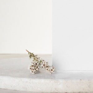 May include: A small sprig of white flowers with green stems on a white marble surface.