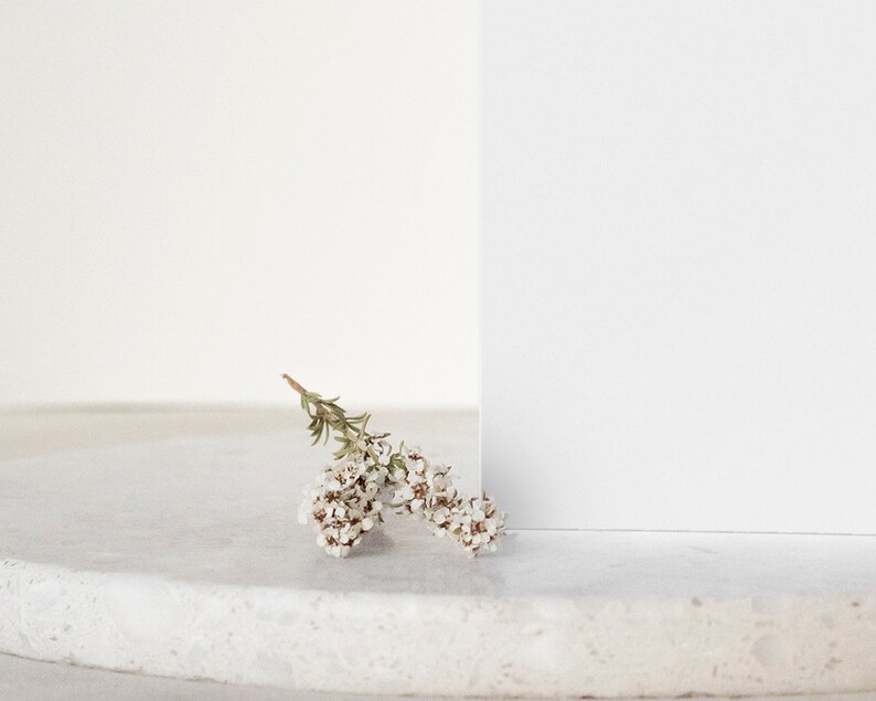 May include: A small sprig of white flowers with green stems on a white marble surface.