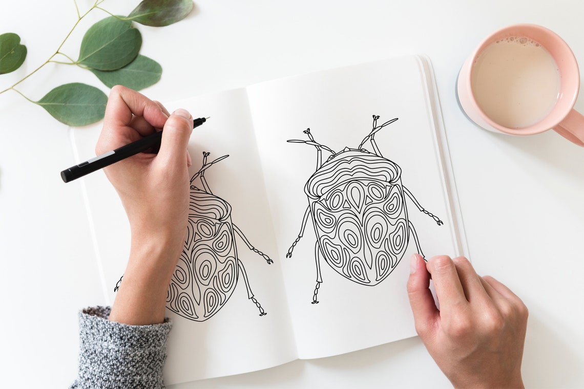 Download Beetle insect coloring page.Coloring book pdf. Coloring sheet. | Etsy