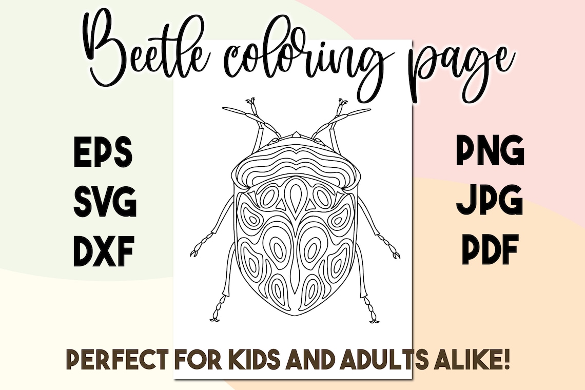 Download Beetle insect coloring page.Coloring book pdf. Coloring sheet. | Etsy