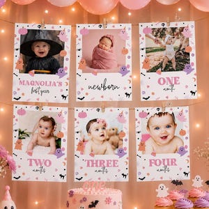 Halloween Monthly Photo Banner Girl1st First Birthday Ghost Spooky ONE Spooktacular Party Decor My First Year Photos Pink PRINTABLE 502YB
