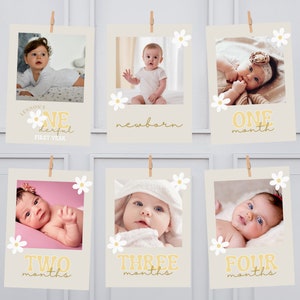BEWERKBARE Daisy maandelijkse fotobanner, Daisy maandelijkse foto&#39;s Tags afdrukbare, Daisy eerste verjaardag decor, bloemenfoto, Instant Download 099YB